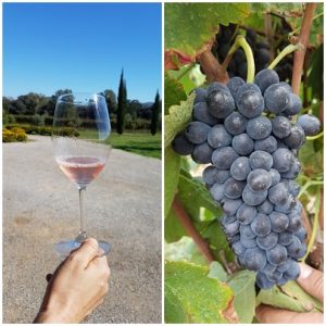 do-emporda-wine:-the-hidden-secret-of-the-costa-brava